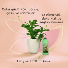 Genta Prestige Genel Amaçlı Sıvı Besin 1 LT