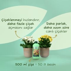 Genta Prestige Genel Amaçlı Sıvı Besin 500 ML