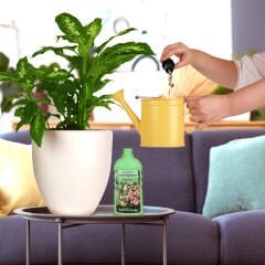 Genta Prestige Genel Amaçlı Sıvı Besin 500 ML