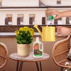 Genta Çiçekli bitkiler için sıvı besini (Gübre) 500 ml