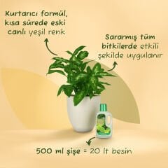 Genta Sararan Yapraklar İçin Sıvı Besin 500 ml