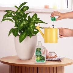 Genta Yeşil Yapraklı Bitkiler Için Sıvı Bitki Besini 500 Ml