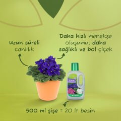 Genta Menekşeler İçin Sıvı Besin 500 ml