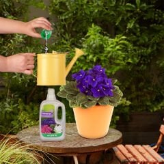 Genta Menekşeler İçin Sıvı Besin 500 ml