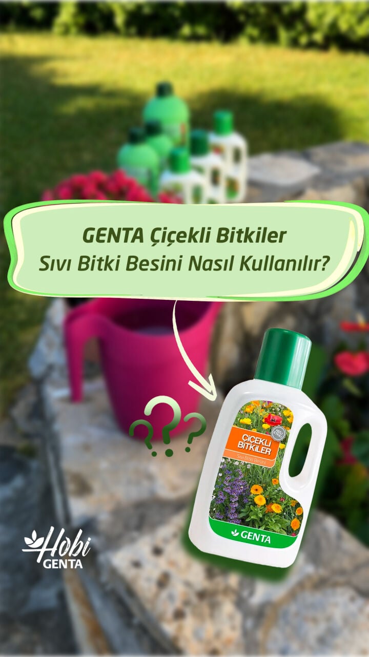 Sıvı Bitki Besini Nasıl Uygulanır? Adım Adım Kullanım Rehberi