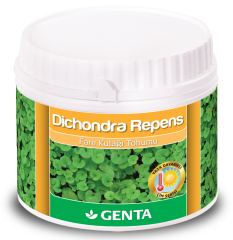 Genta Dichondra Repens Fare Kulağı Çimi Tohumu 250 Gr