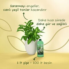 Genta Prestige Yeşil Yapraklı Bitkiler İçin Sıvı Besin 1 LT