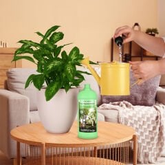 Genta Prestige Yeşil Yapraklı Bitkiler İçin Sıvı Besin 1 LT