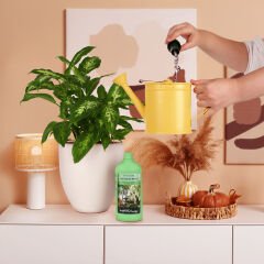 Genta Prestige Yeşil Yapraklı Bitkiler İçin Sıvı Besin 500 ML