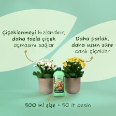 Genta Prestige Çiçekli Bitkiler ve Sardunyalar İçin Sıvı Besin 500 ML