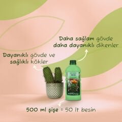 Genta Prestige Kaktüsler İçin Sıvı Besin 500 ML