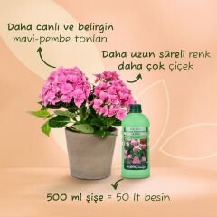 Genta Prestige Ortanca, Rododendron ve Açelya İçin Sıvı Besin 500 ML