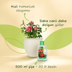 Genta Güller için Sıvı Besini 500 ml