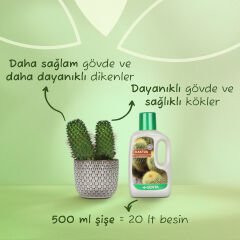 Genta Kaktüs için Sıvı Besin 500 ml