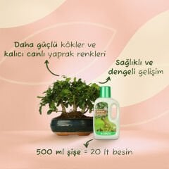 Genta Bonsailer İçin Sıvı Besin 500 ml