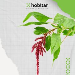 Hobitar Şaşırt Beni Çiçek Tohumu Paketi - 4 Çeşit Çiçek Tohumu
