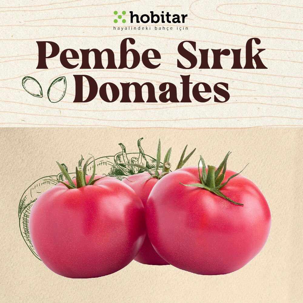 Hobitar Pembe Sırık Domates Tohumu
