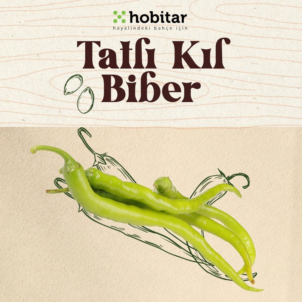 Hobitar Tatlı Kıl Biber Tohumu