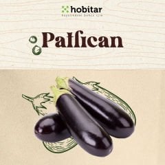 Hobitar Hesaplı Sebze Manavı Tohum Paketi - 5 Çeşit Sebze Tohumu