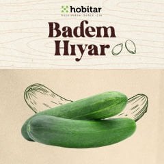 Hobitar Hesaplı Sebze Manavı Tohum Paketi - 5 Çeşit Sebze Tohumu