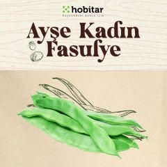 Hobitar Hesaplı Sebze Manavı Tohum Paketi - 5 Çeşit Sebze Tohumu