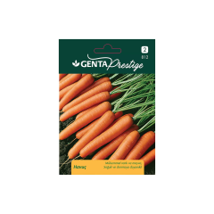 Genta Prestige Havuç Tohumu