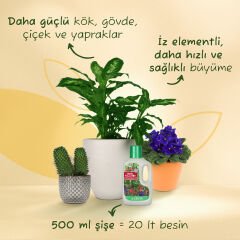 Genta Genel Kullanım Sıvı Bitki Besini 500 Ml