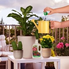 Genta Genel Kullanım Sıvı Bitki Besini 500 Ml