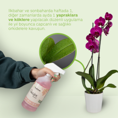 Hobitar Orkide Besini Vitamini 500 ml - %100 Doğal, Çiçeklendirici ve Köklendirici Formül
