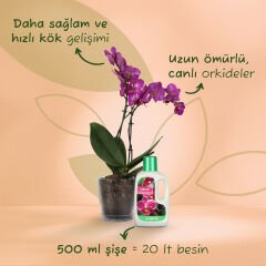 Genta Orkideler İçin Sıvı Bitki Besini 500 Ml