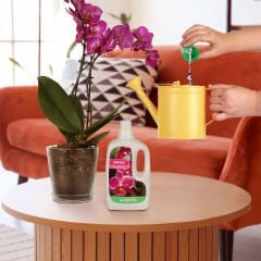 Genta Orkideler İçin Sıvı Bitki Besini 500 Ml