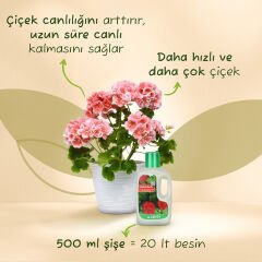 Genta Sardunyalar Için Sıvı Bitki Besini 500 Ml