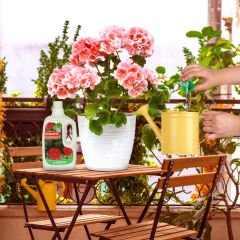 Genta Sardunyalar Için Sıvı Bitki Besini 500 Ml