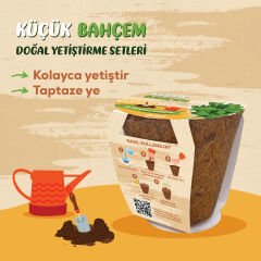 Küçük Bahçem Fesleğen Yetiştirme Seti