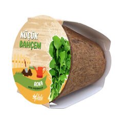 Küçük Bahçem Roka Yetiştirme Seti