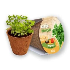 Küçük Bahçem Maydanoz Yetiştirme Seti