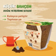 Küçük Bahçem Maydanoz Yetiştirme Seti