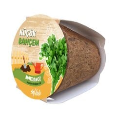 Küçük Bahçem Maydanoz Yetiştirme Seti