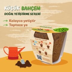 Küçük Bahçem Marul Yetiştirme Seti