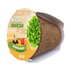 Küçük Bahçem Marul Yetiştirme Seti