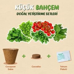 Küçük Bahçem Çeri Domates Yetiştirme Seti