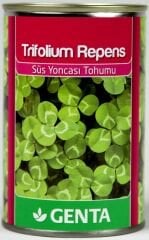 Trifolium Repens 250 Gr