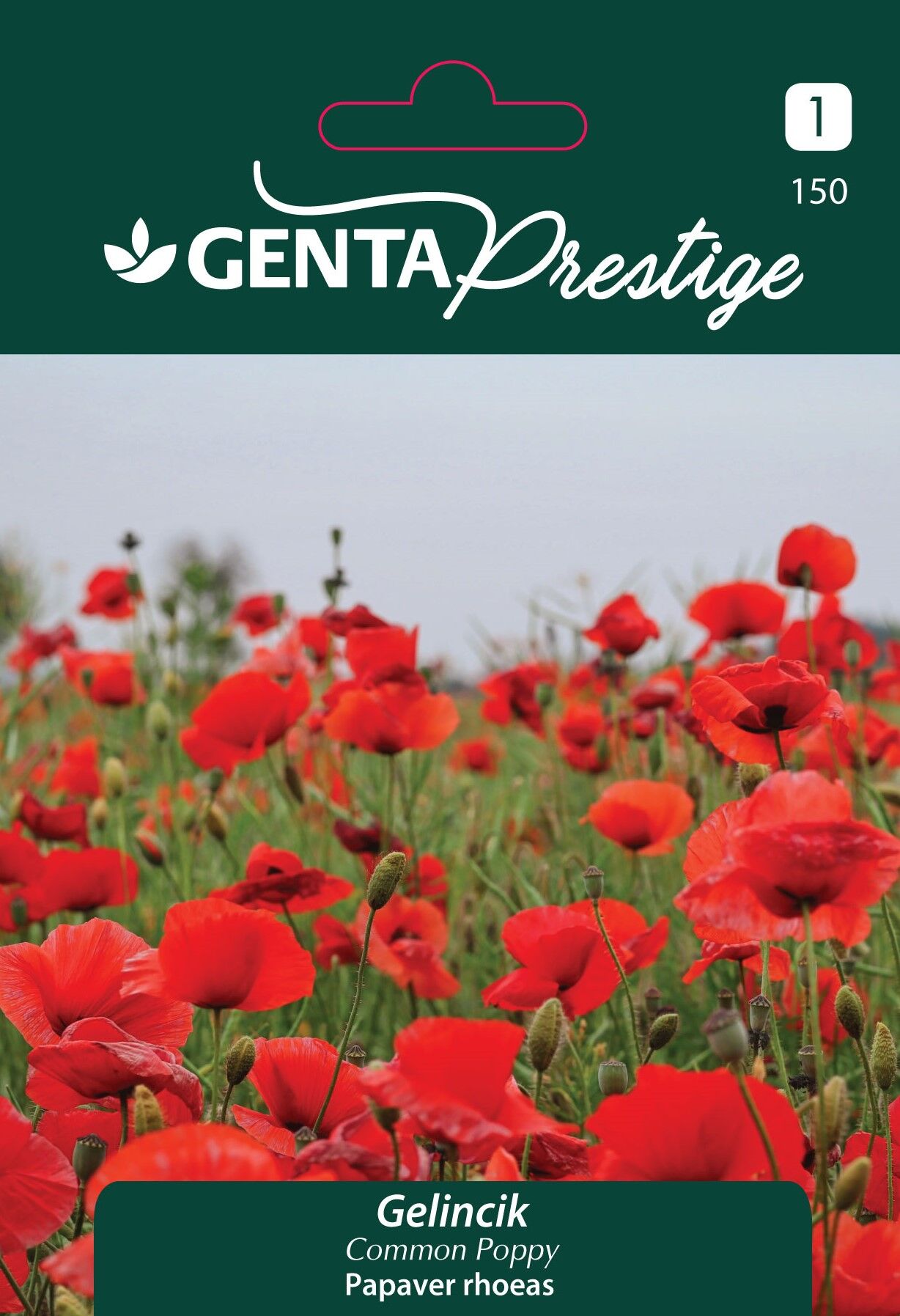 Gelincik Çiçek Tohumu