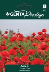 Gelincik Çiçek Tohumu