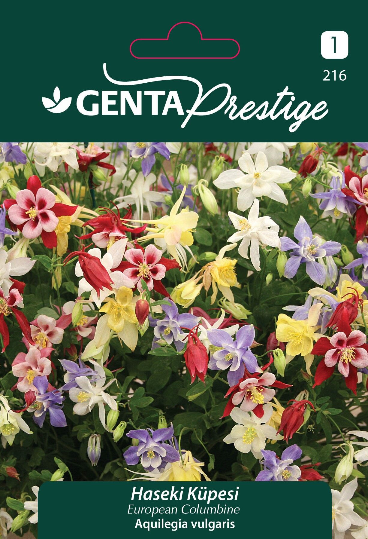 Haseki Küpesi Çiçek Tohumu