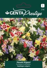 Haseki Küpesi Çiçek Tohumu