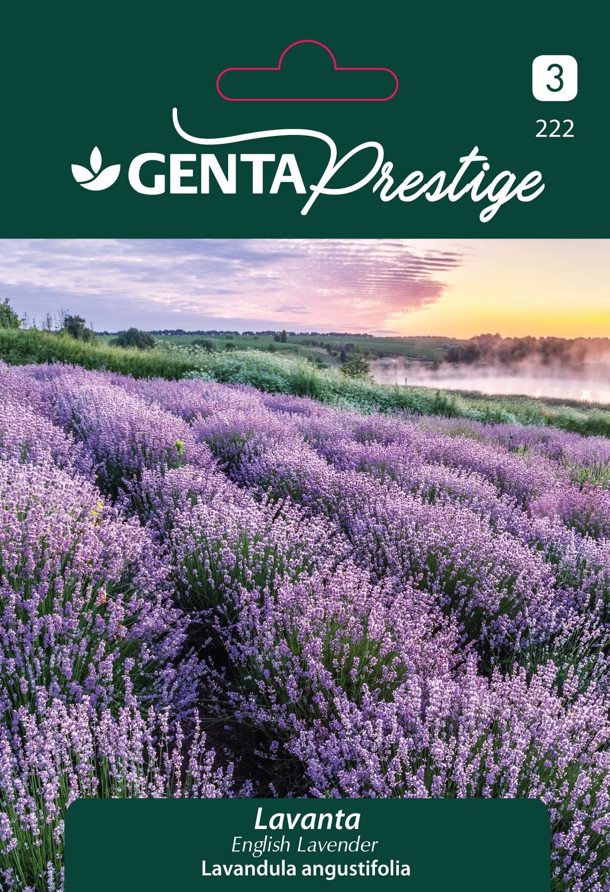 Lavanta Çiçek Tohumu