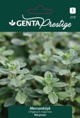 Mercanköşk Çiçek Tohumu