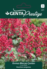 Kırmızı Mercan Çanları Çiçek Tohumu