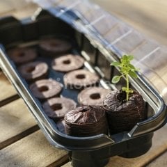 Vilmorin 2’li Dikim Kiti Mini Sera